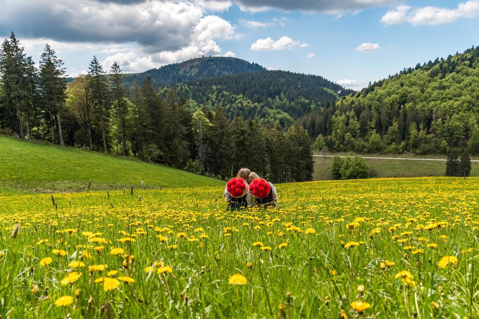 Feriendomizil Am Roessleberg, Hinterzarten Exteriör bild